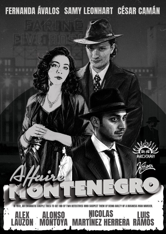 The Montenegro Affair poster